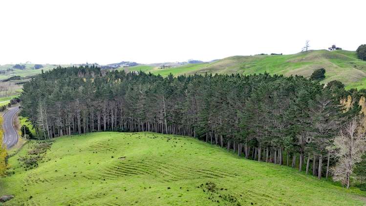 4062 Kaipara Coast Highway Tauhoa_19