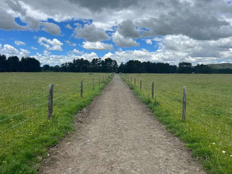 220 Larsen Road Eketahuna_5