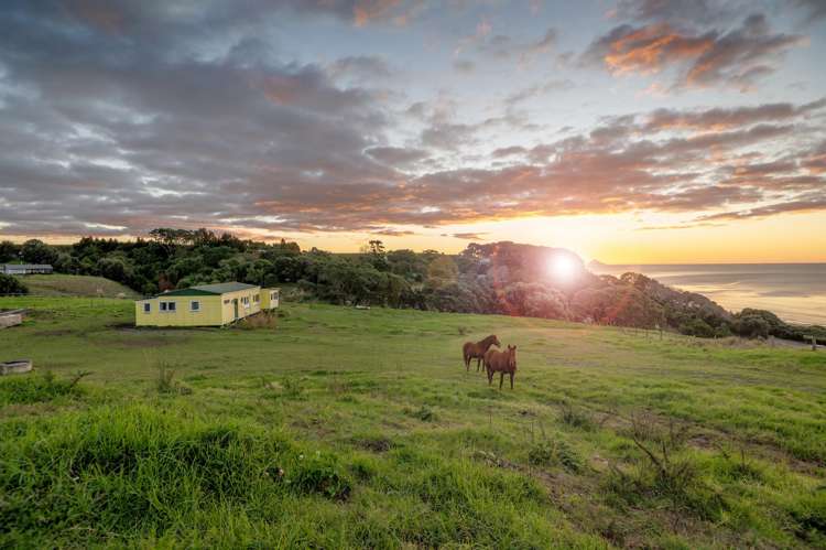 Address withheld Waiotahe_5