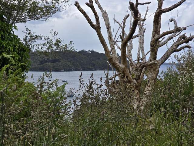 15 Excelsior Road Stewart Island_1