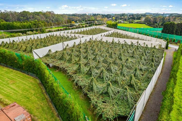 2206 State Highway 10 Kerikeri_6