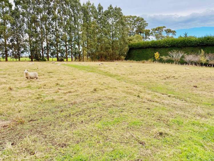 183 Drysdale Road Myross Bush_19