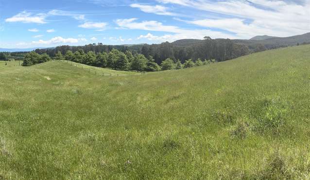 172 Hitiri Road Kinloch_3