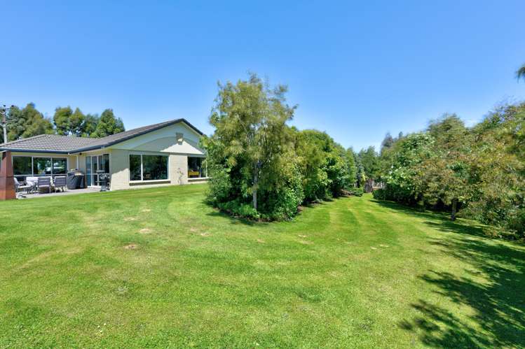 21 Willow Lane Gore_10