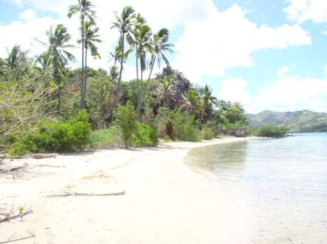 Tivi Island_2