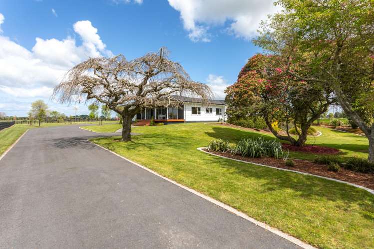 173 Station Road Matamata_0