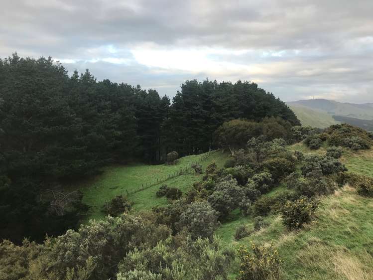 1039 Ohariu Valley Road Ohariu_9