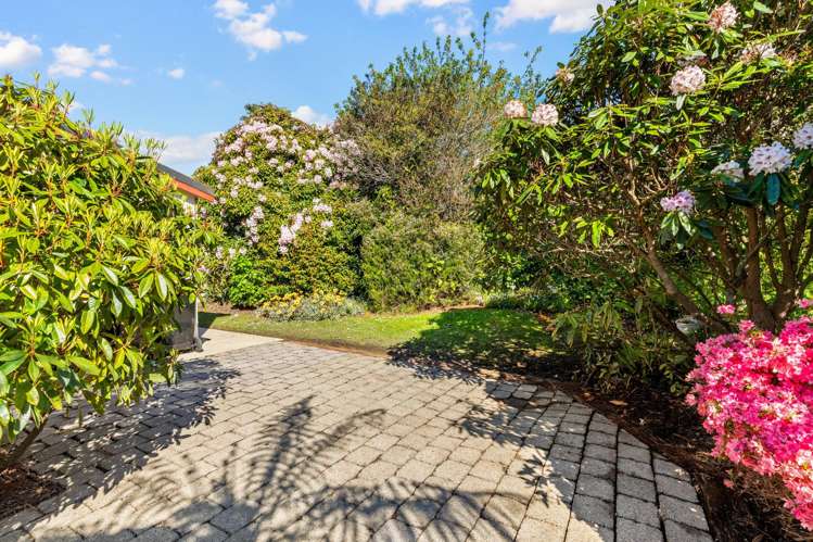 12C Lynwood Ave Maori Hill_20