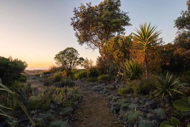 114 Rarangi Beach Road Rarangi_59