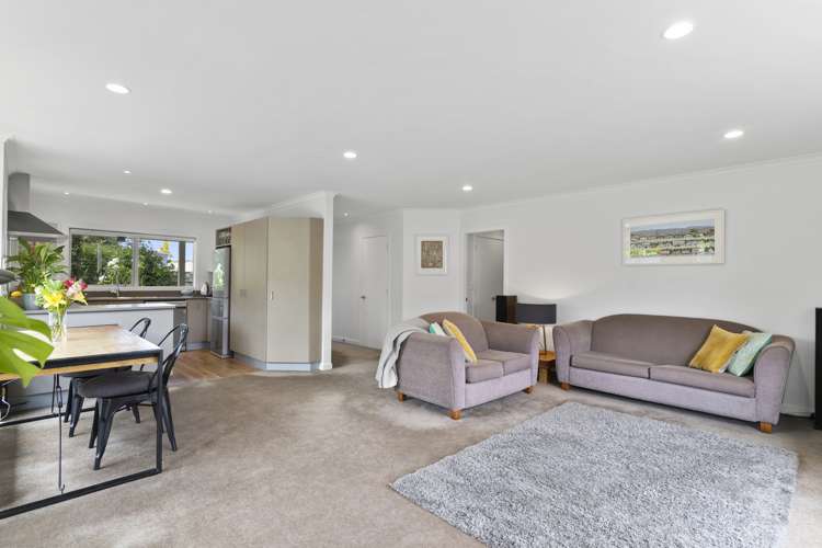 28 Cotter Street Greytown_10