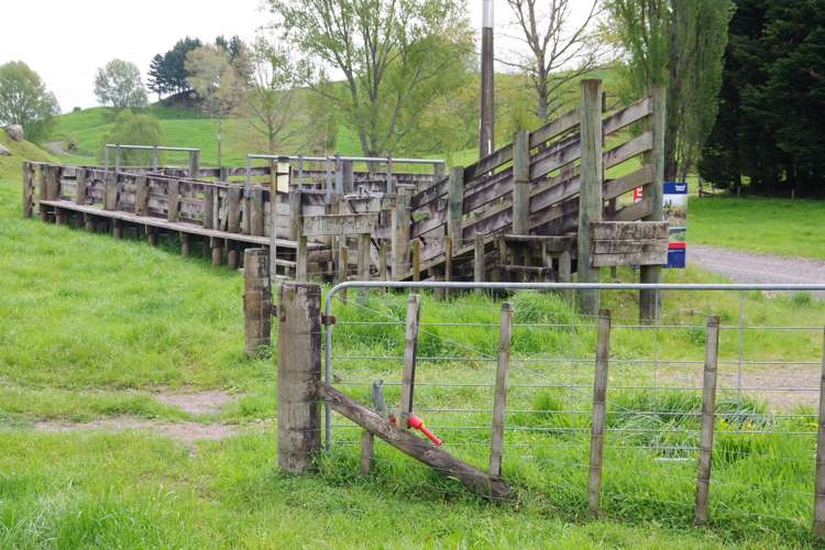 431 Arataki Road Mangakino_6