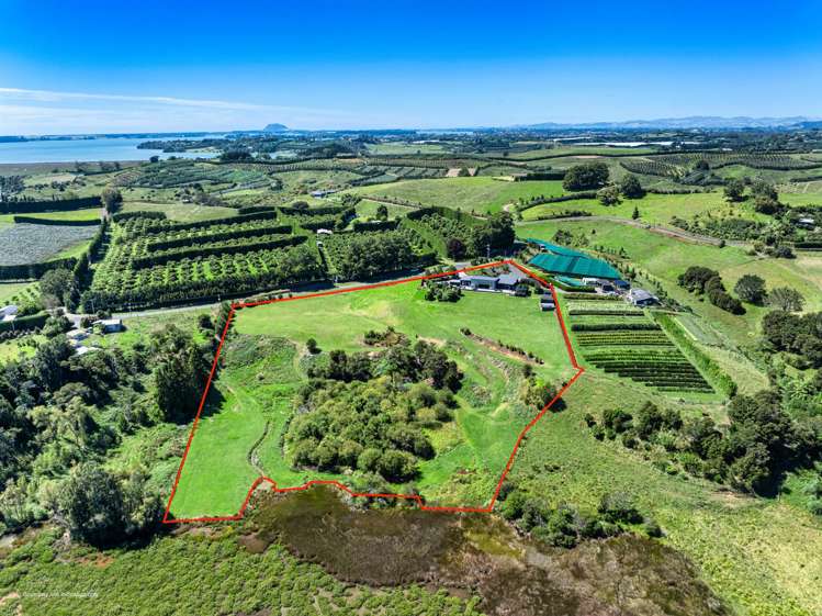 175 Stewart Road Whakamarama_34