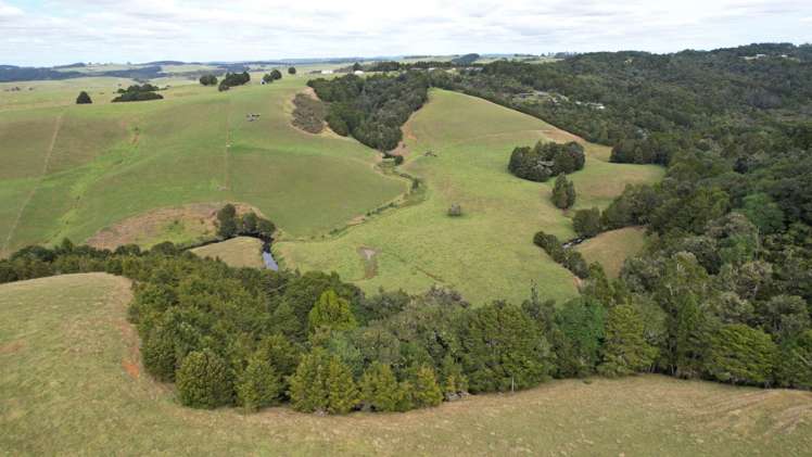 Hikurua Road Matauri Bay_11