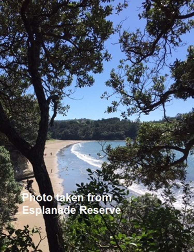 41 Ocean View Road Hatfields Beach_17