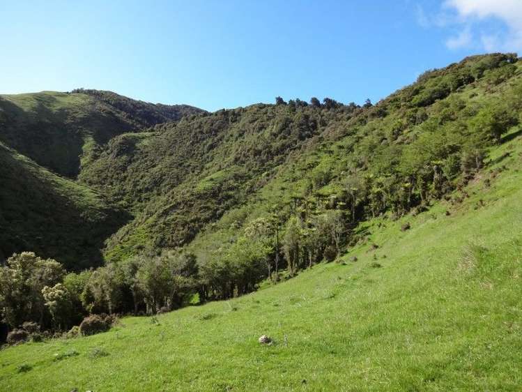 378 Putara Road Eketahuna_6