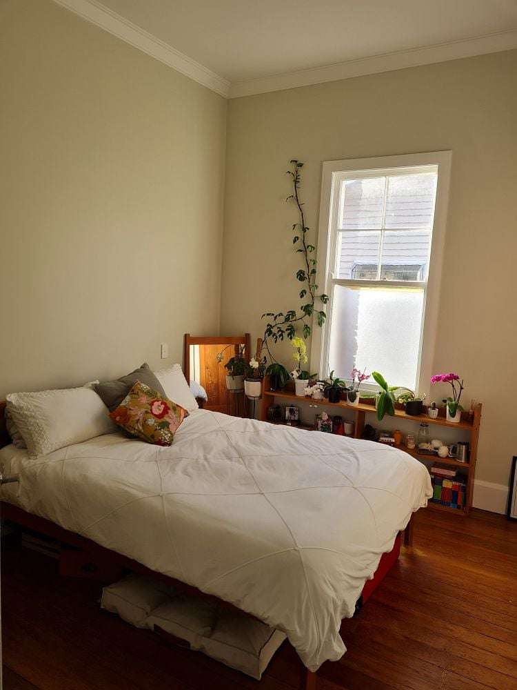 38 Norman Road Te Hapara_10