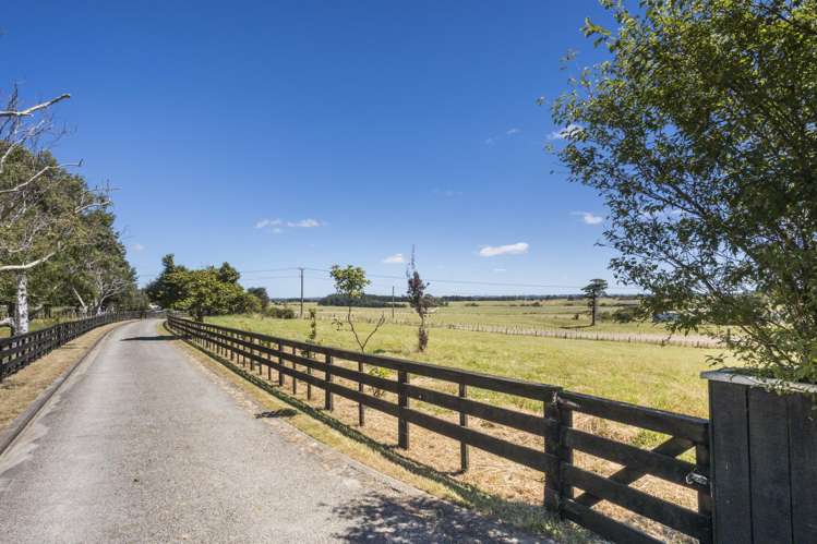 220 Dixons Line Bunnythorpe_17