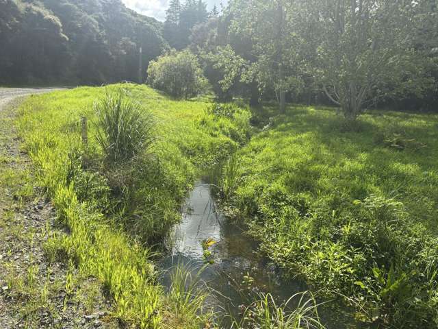 Mata Road Kohukohu_3