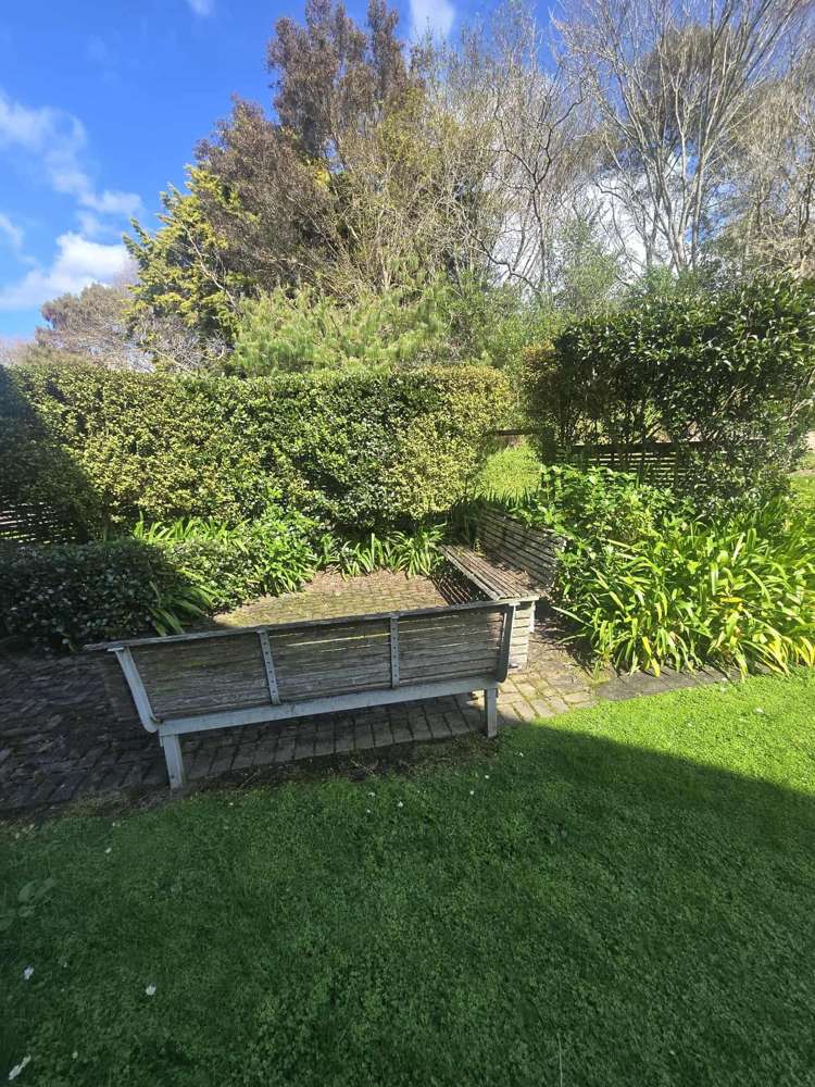 First Floor/42 Tawa Drive Albany_11