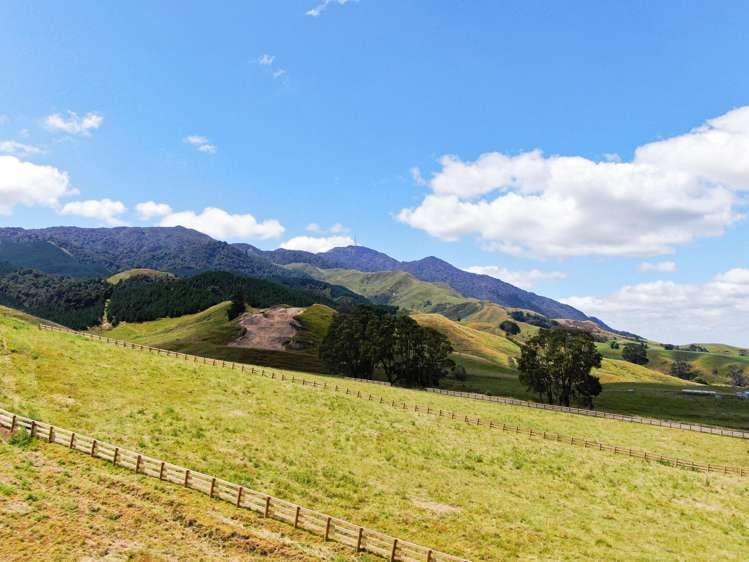 Lot 4, 151 Hill Road Te Aroha_12