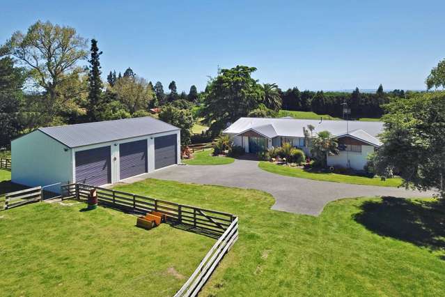 618a Te Matai Road Te Puke_1