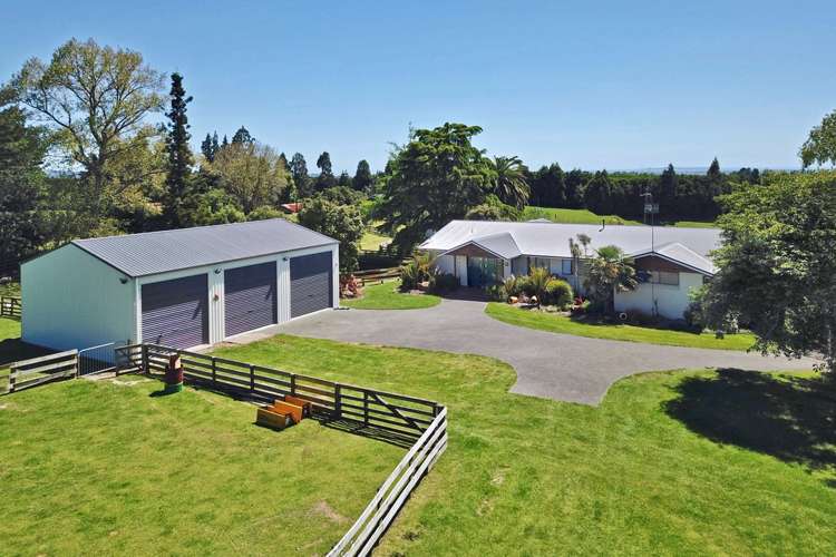 618a Te Matai Road Te Puke_1