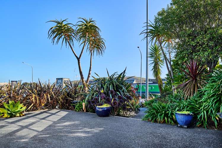 128 Mana Esplanade Paremata_13