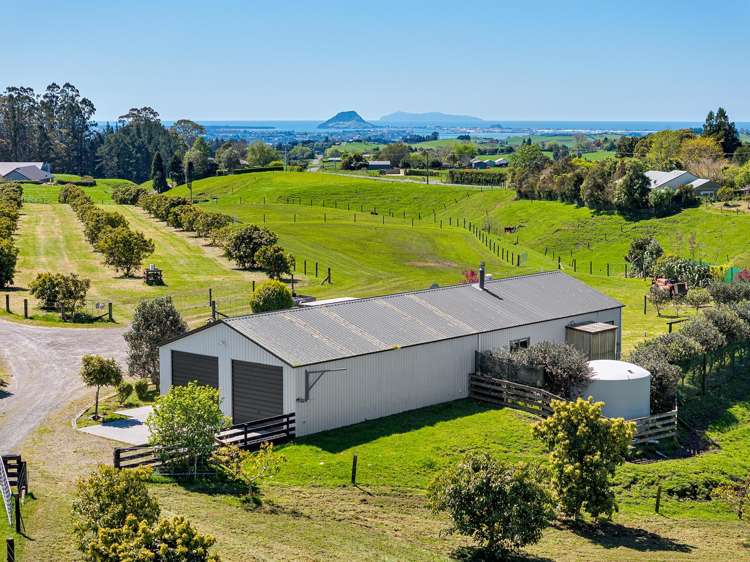 390 Hereford Road Oropi_0