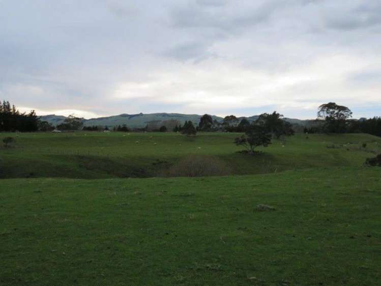 769 State Highway 2 Opaki_10