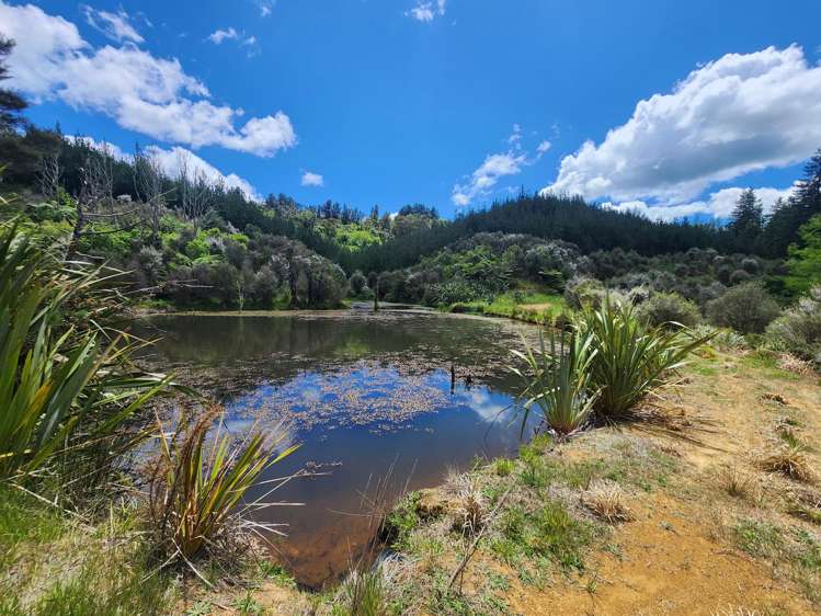 241 Work Road Aongatete_17