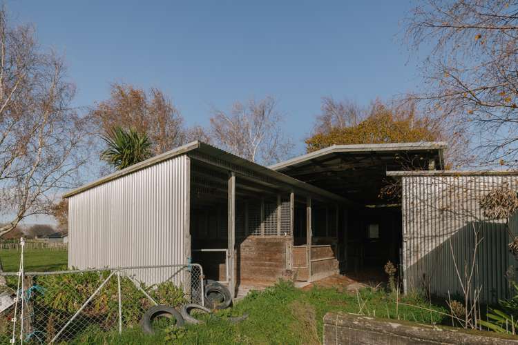 44 Te Wanaka Road Awapuni_11