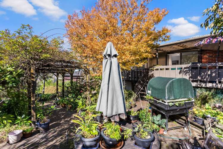 3 Riverhills Avenue Pakuranga Heights_24