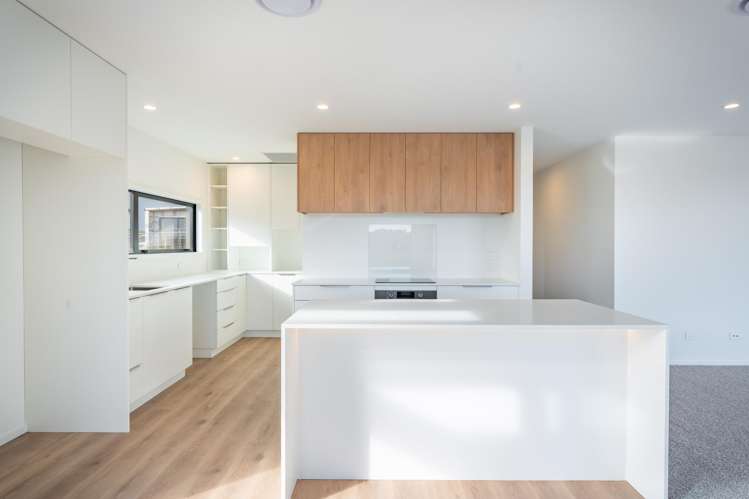 9 Mahara Place Maori Hill_9
