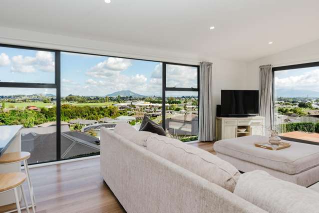 325 Picquet Hill Road Te Awamutu_4