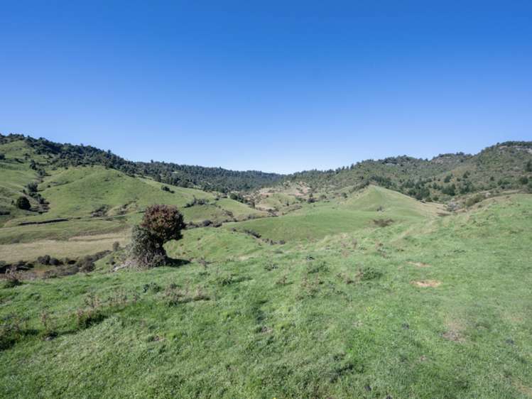 Kaitieke Road Owhango_15