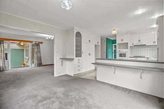 207 Hape Road Thames_1