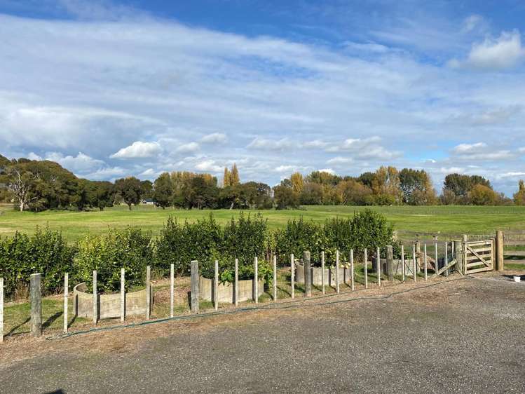 8945 Paeroa Kopu Road Puriri_16