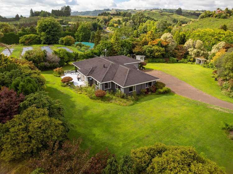 389 Old Highway Whakamarama_9