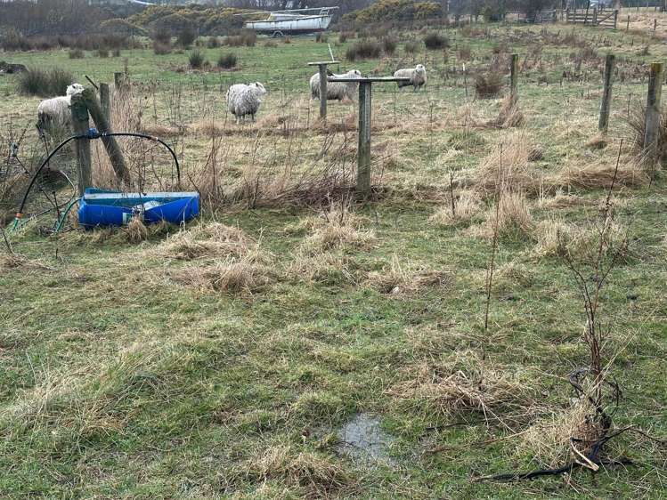 21 Cover Street Lumsden_8