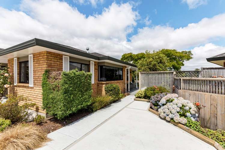 41 Clearwater Terrace Brown Owl_21