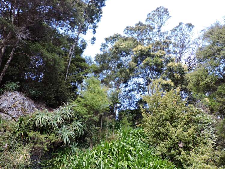 12 Pohue Creek Road Waiomu_16