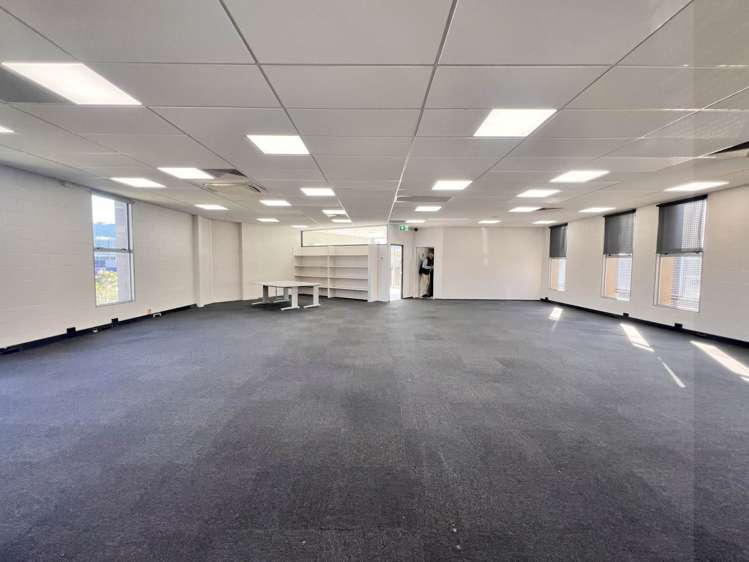 28 Heather Street Parnell_9