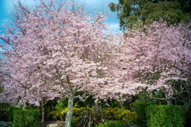 5/275 Pukehangi Road_2