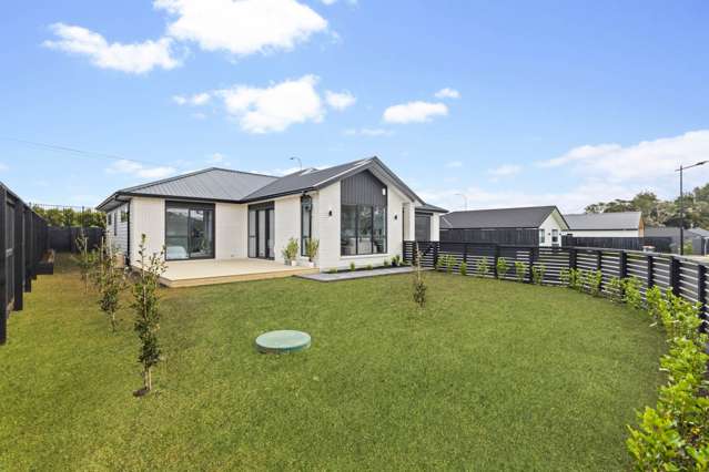 9 Te Ara Hikoi Pukekohe_1