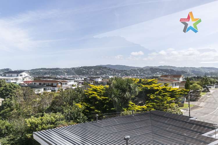 30 Wilberforce Street Miramar_13