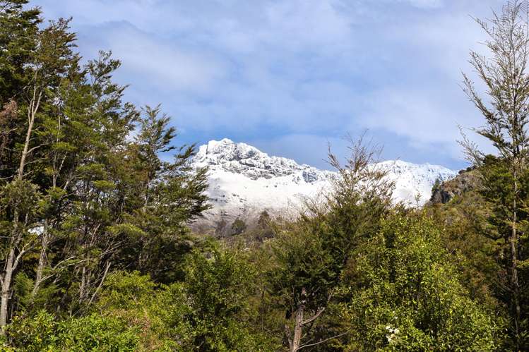 7 Tall Tree Lane Mount Creighton_23