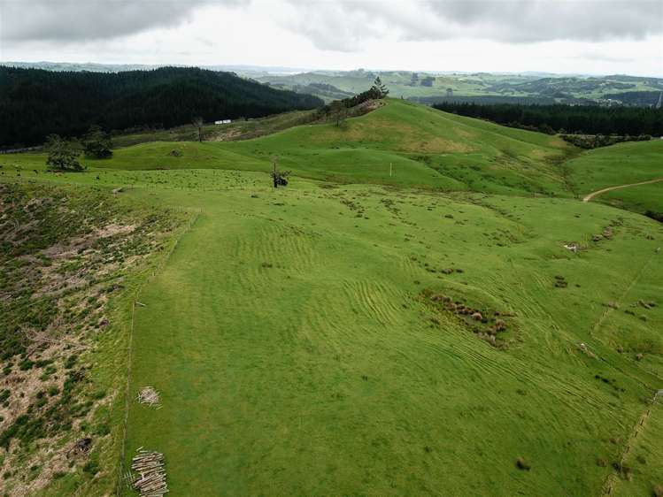 State Highway One Taupo_16