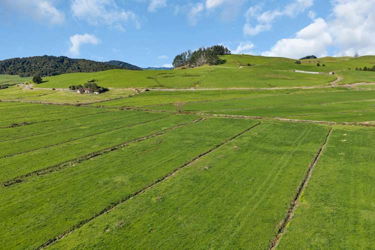 240 Otakairangi Road Riponui_29