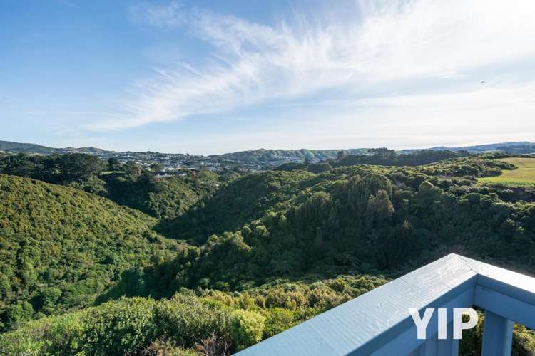 22 Peppertree Lane Woodridge_13