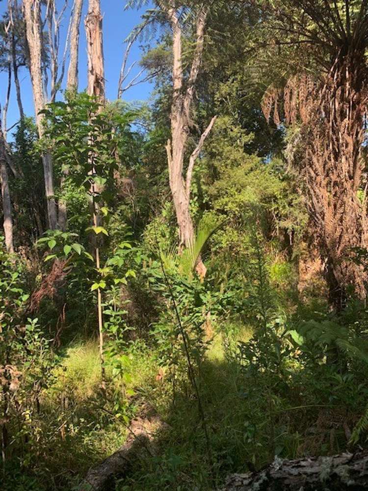 129 Bays Road Orere Point_6